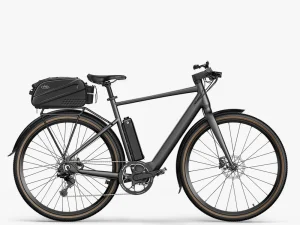 2_40572ad0-fb2a-45a5-8253-22dc9d776617_1000x